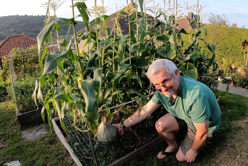 Intercropping vegetables, sweetcorn and squash